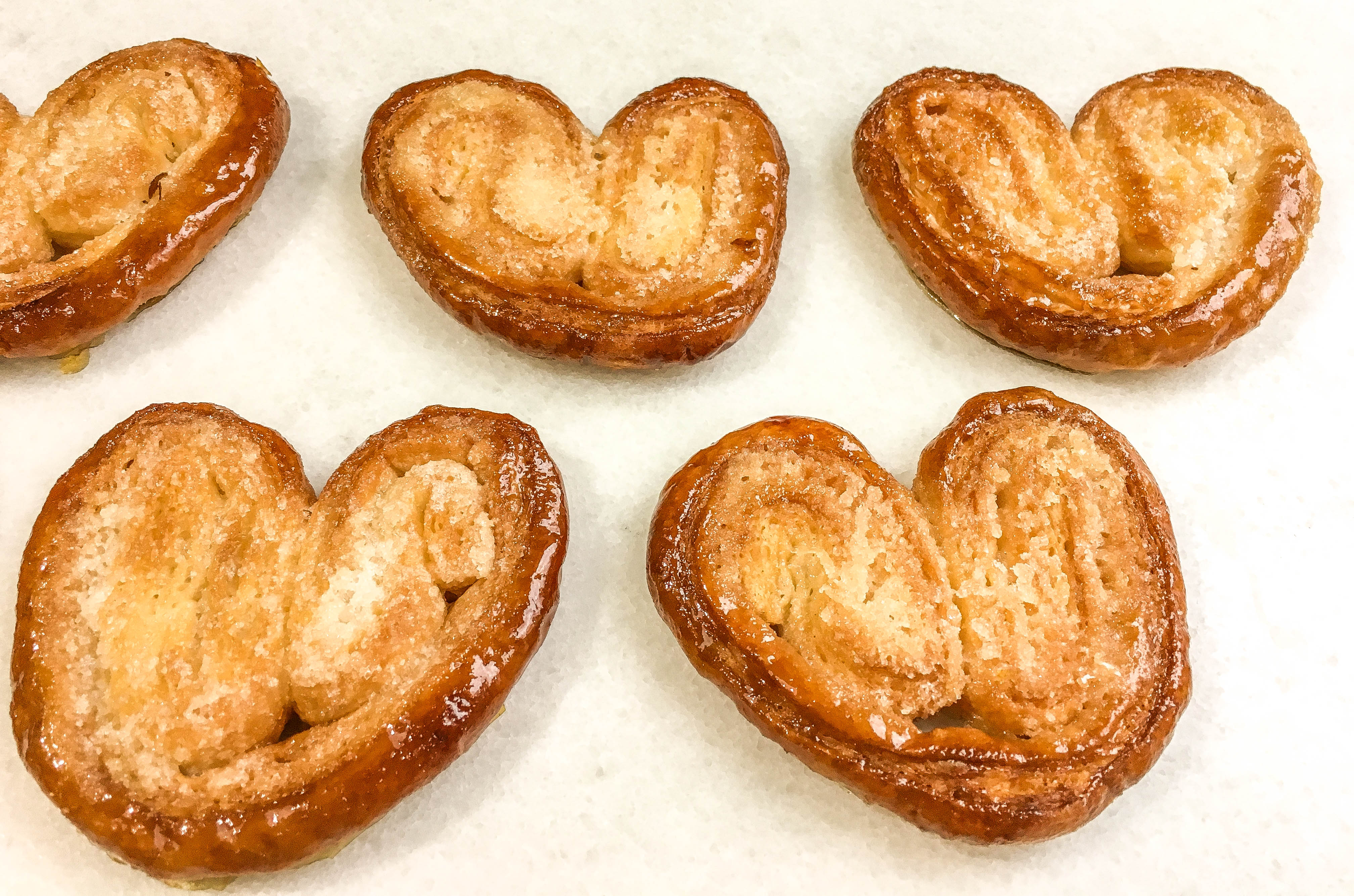 Palmiers2.jpg