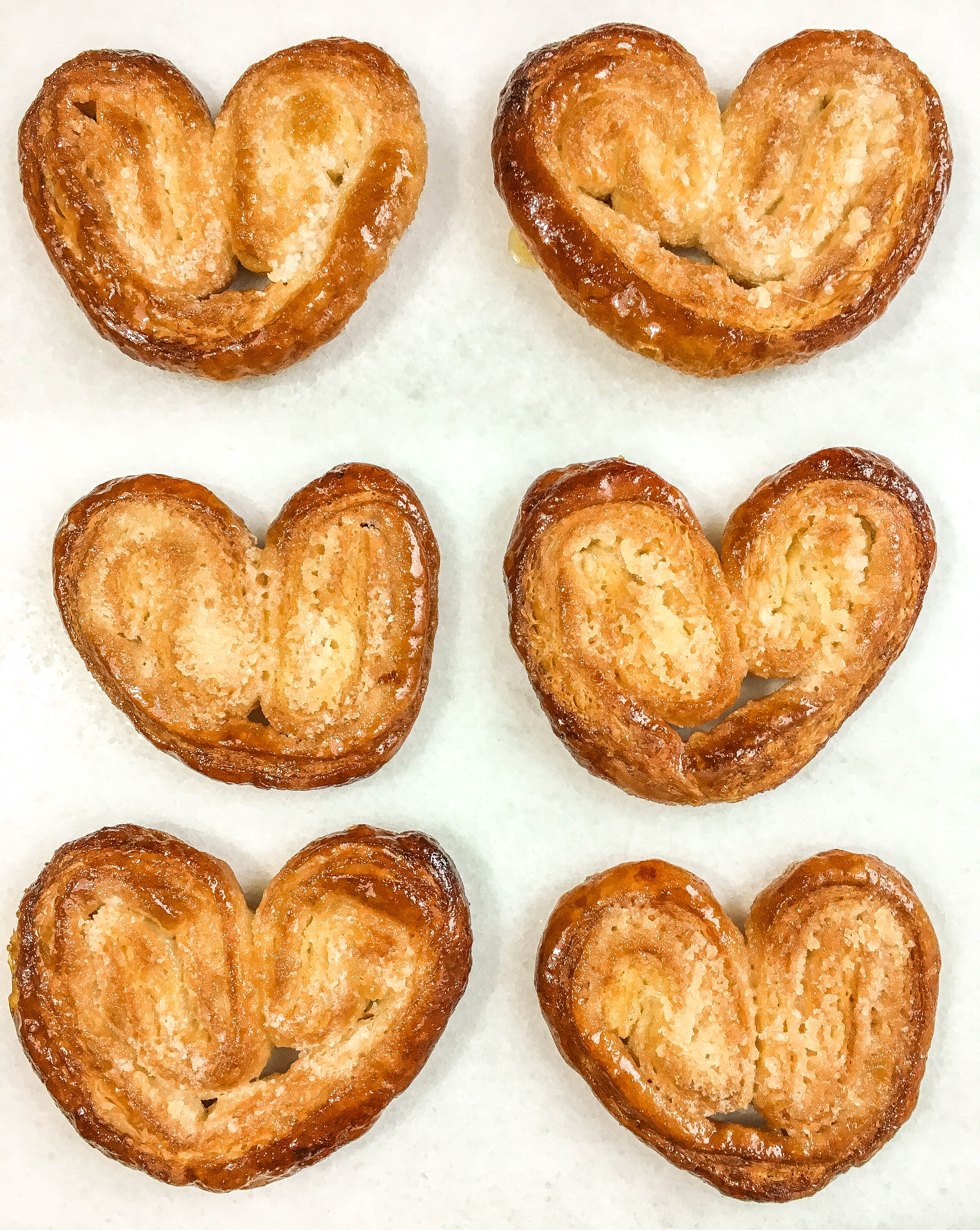 Palmiers3.jpg