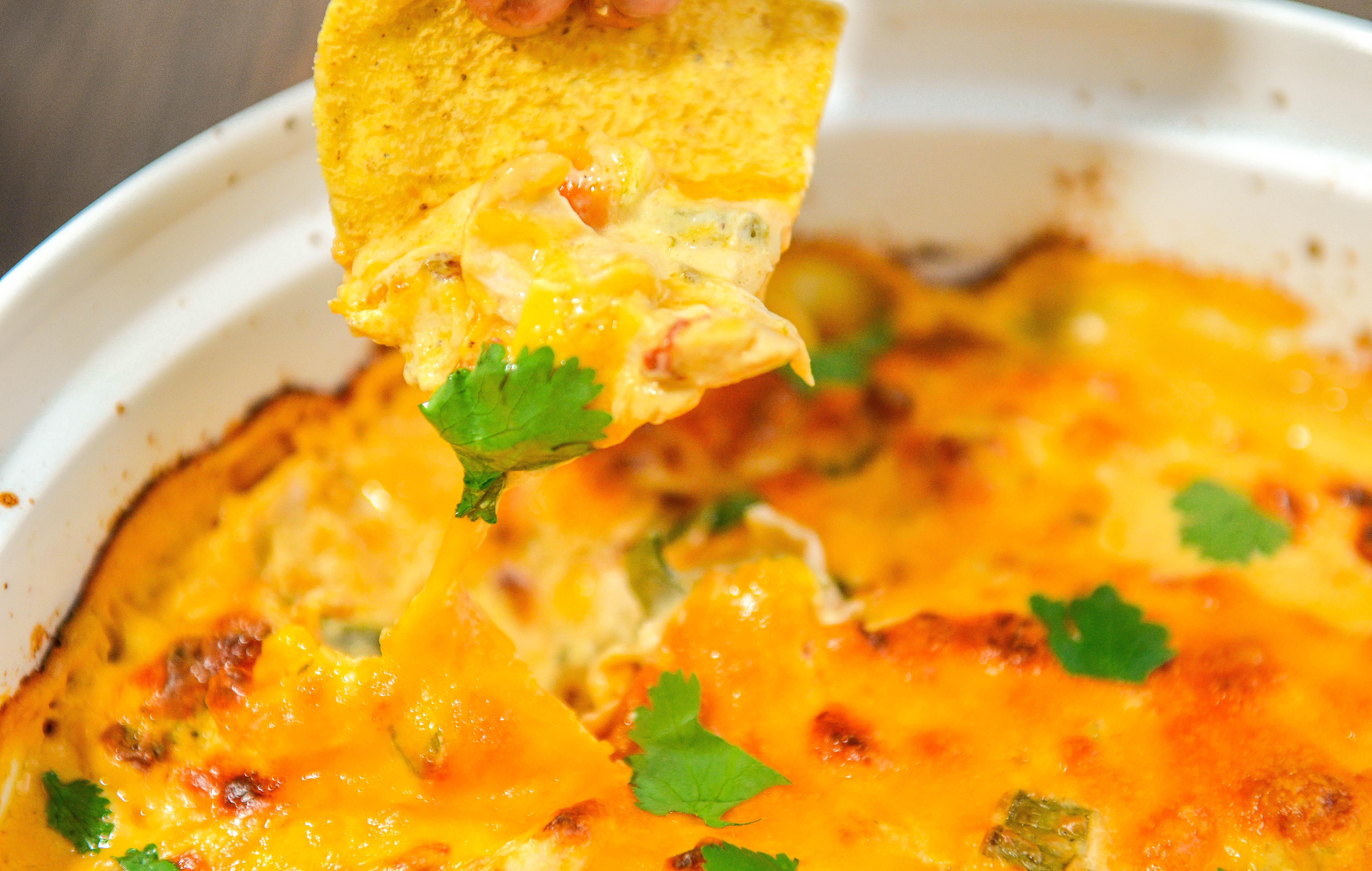 Poblano Chipotle Chicken Dip Never Not Hungry