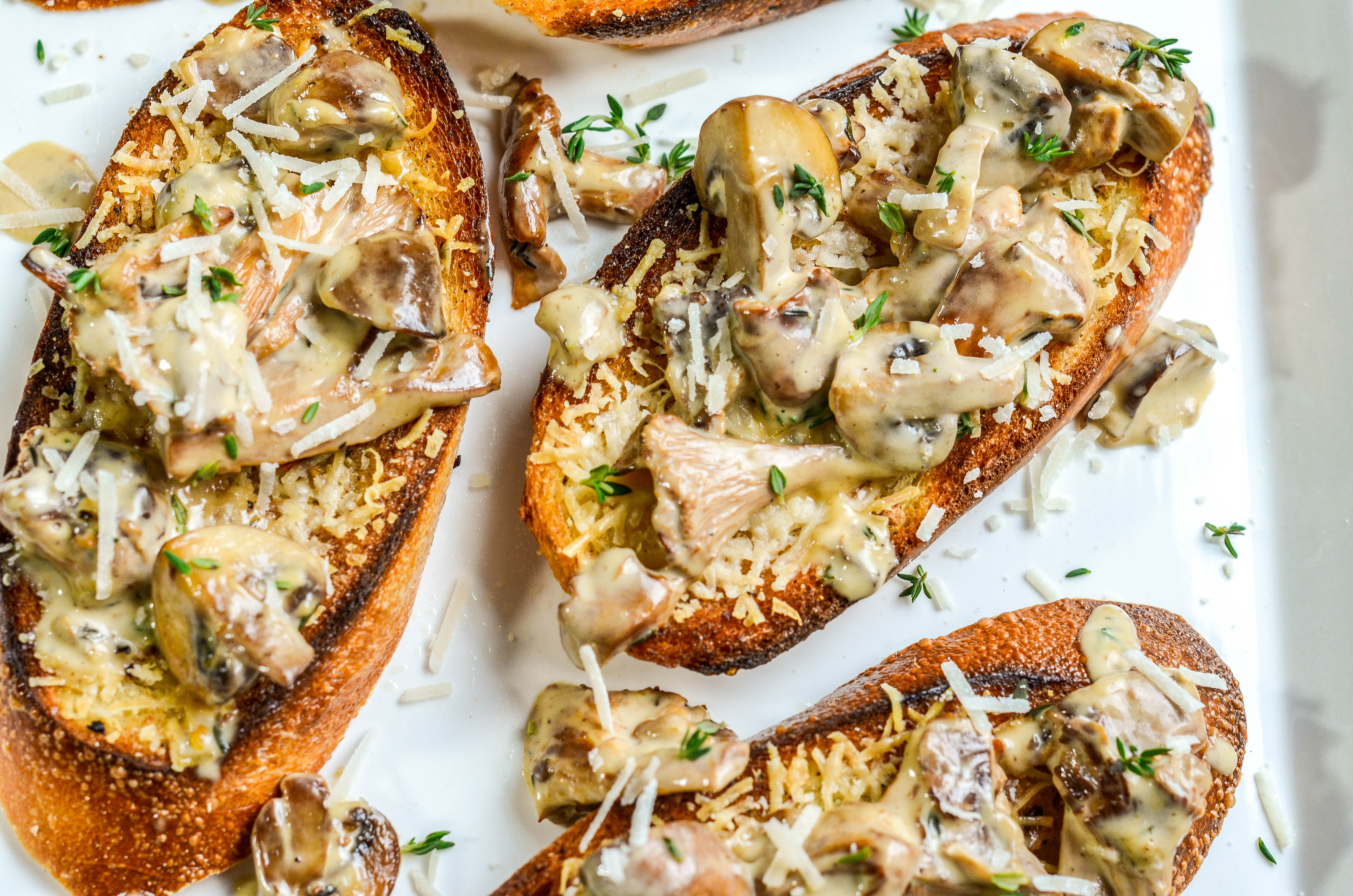 Creamed Mushrooms over Garlic Confit Toast-4