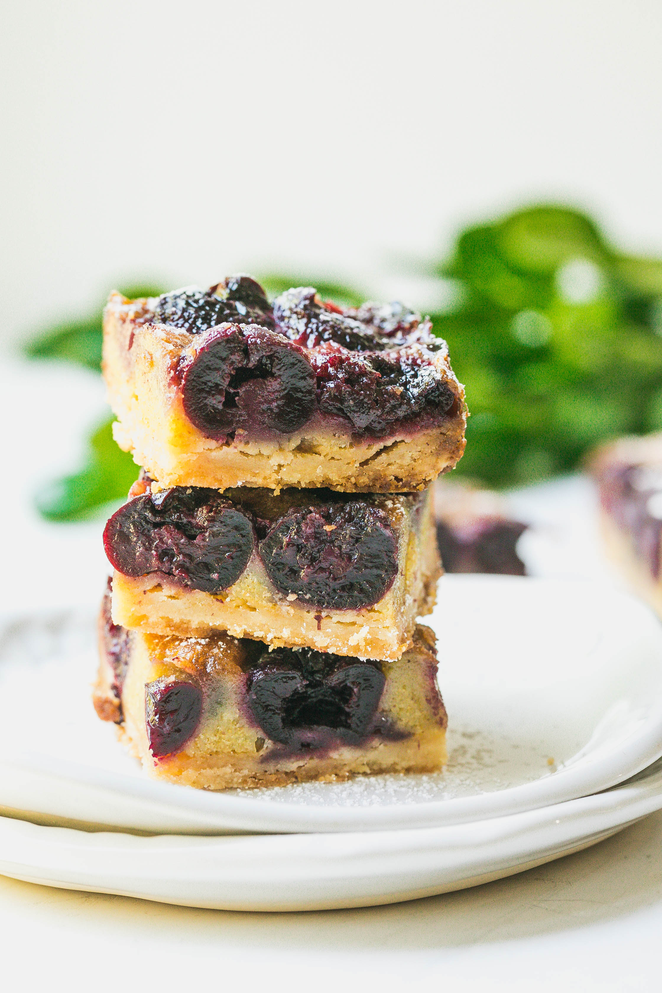 Brown Butter Cherry Bars-8.jpg