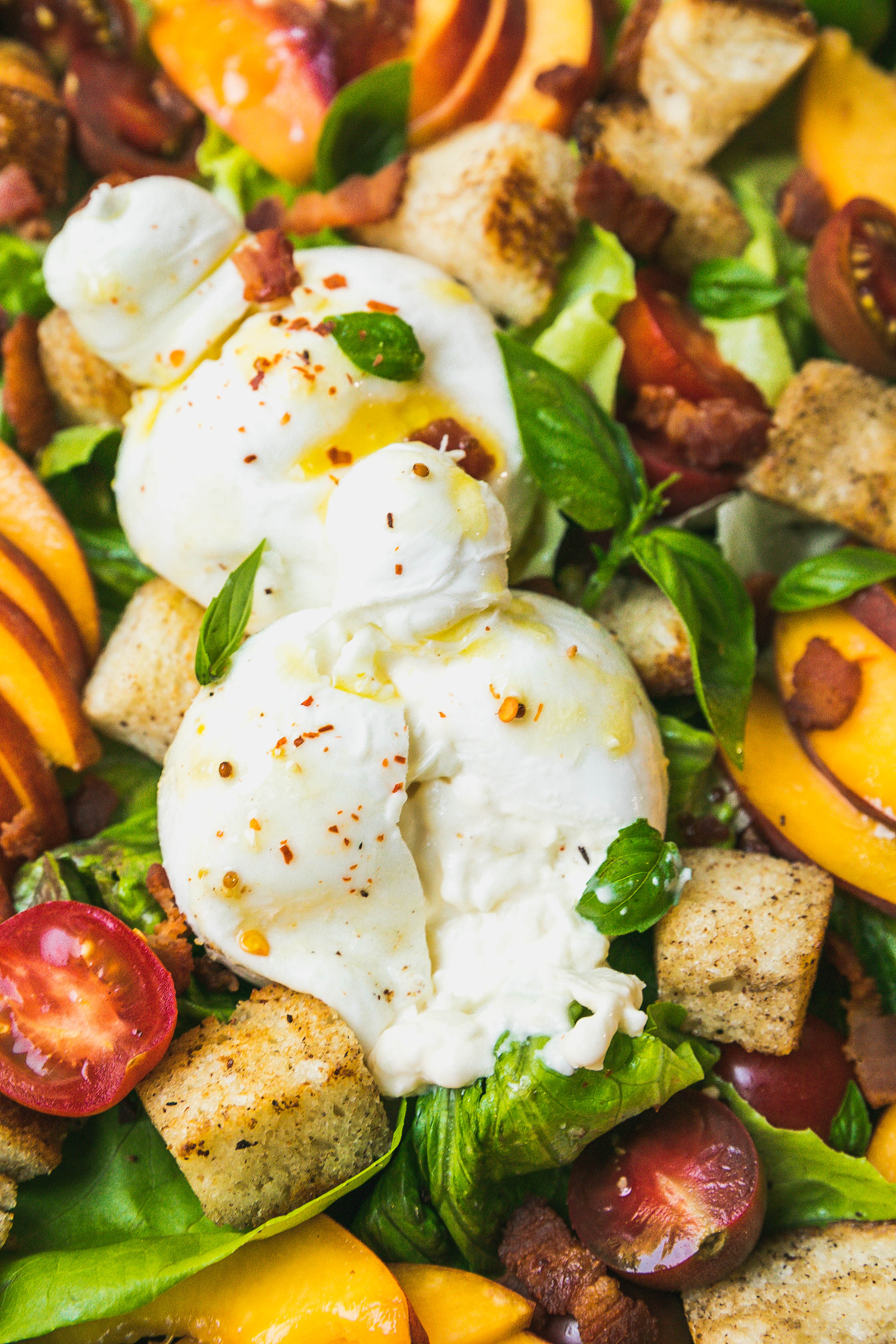 Peach Panzanella Salad with Burrata and Bacon-7