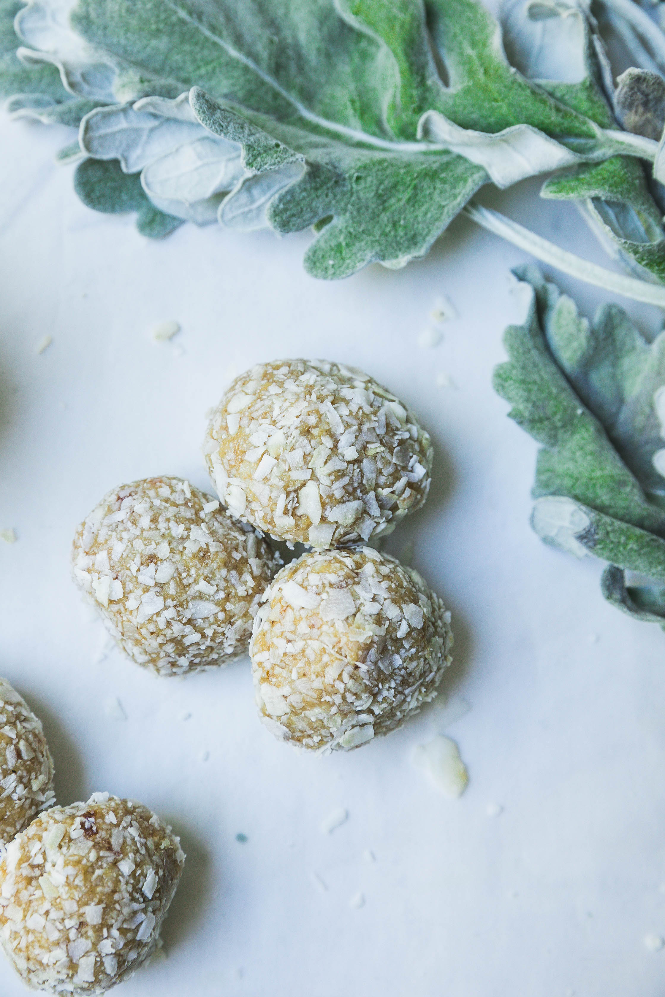Tahini-Coconut Energy Balls-10.jpg