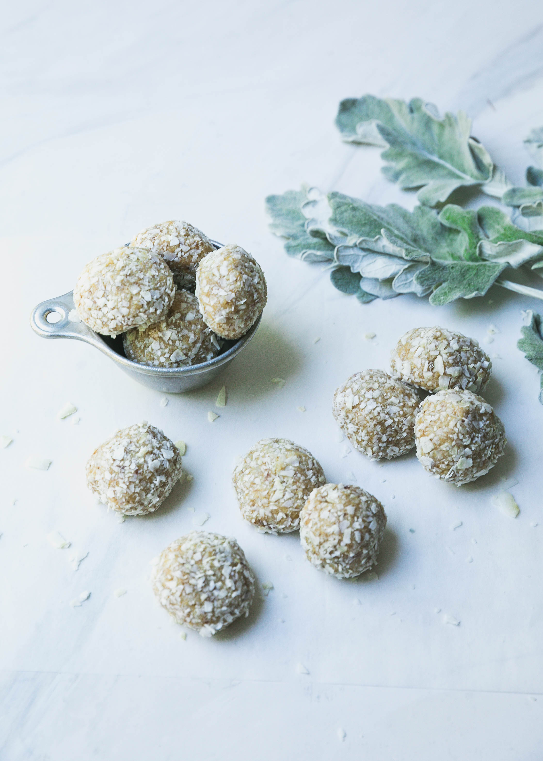 Tahini-Coconut Energy Balls-11