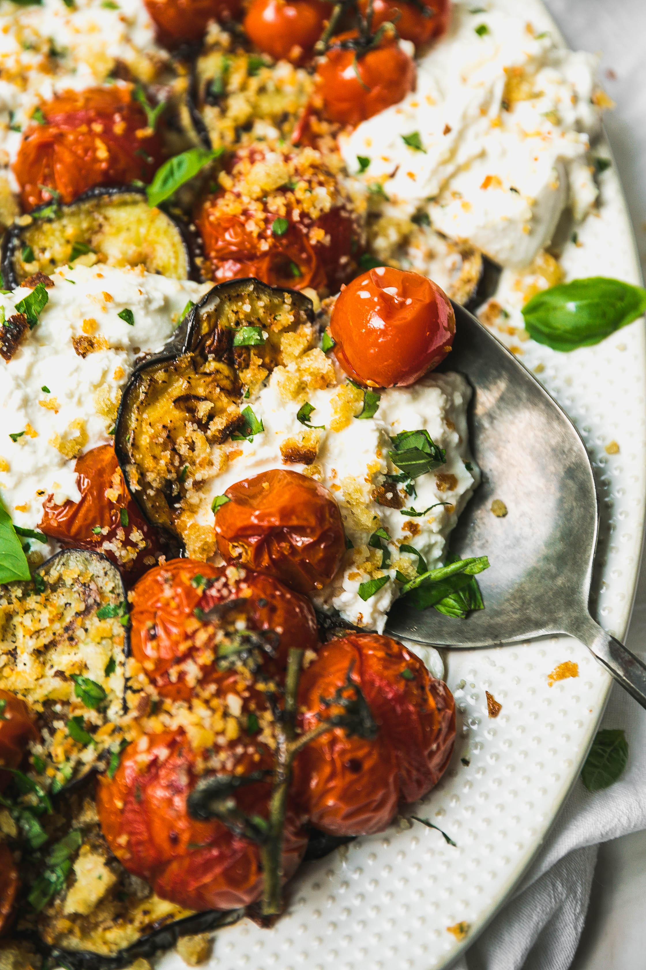 Eggplant Veg-12