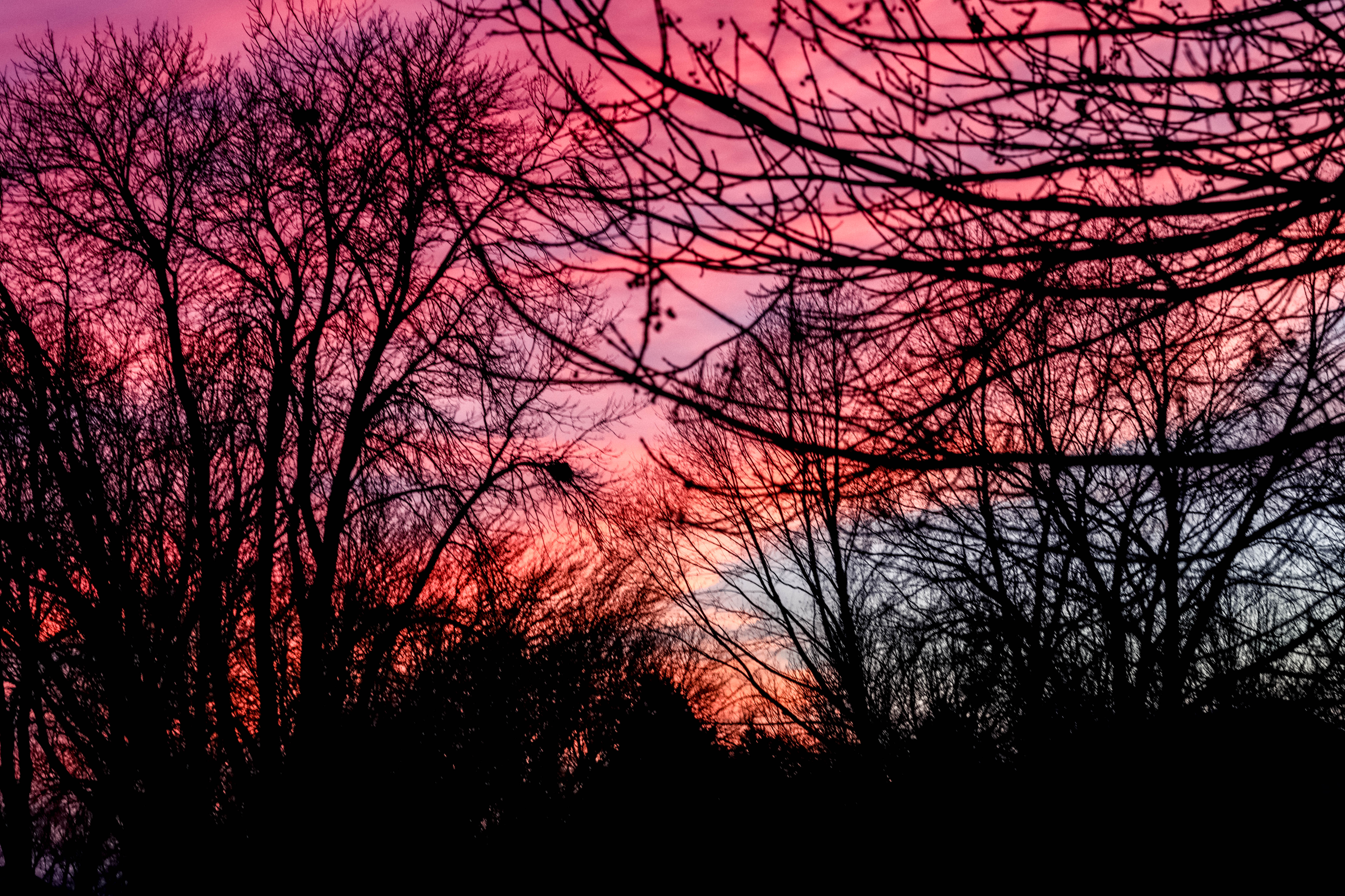 Sunset.jpg