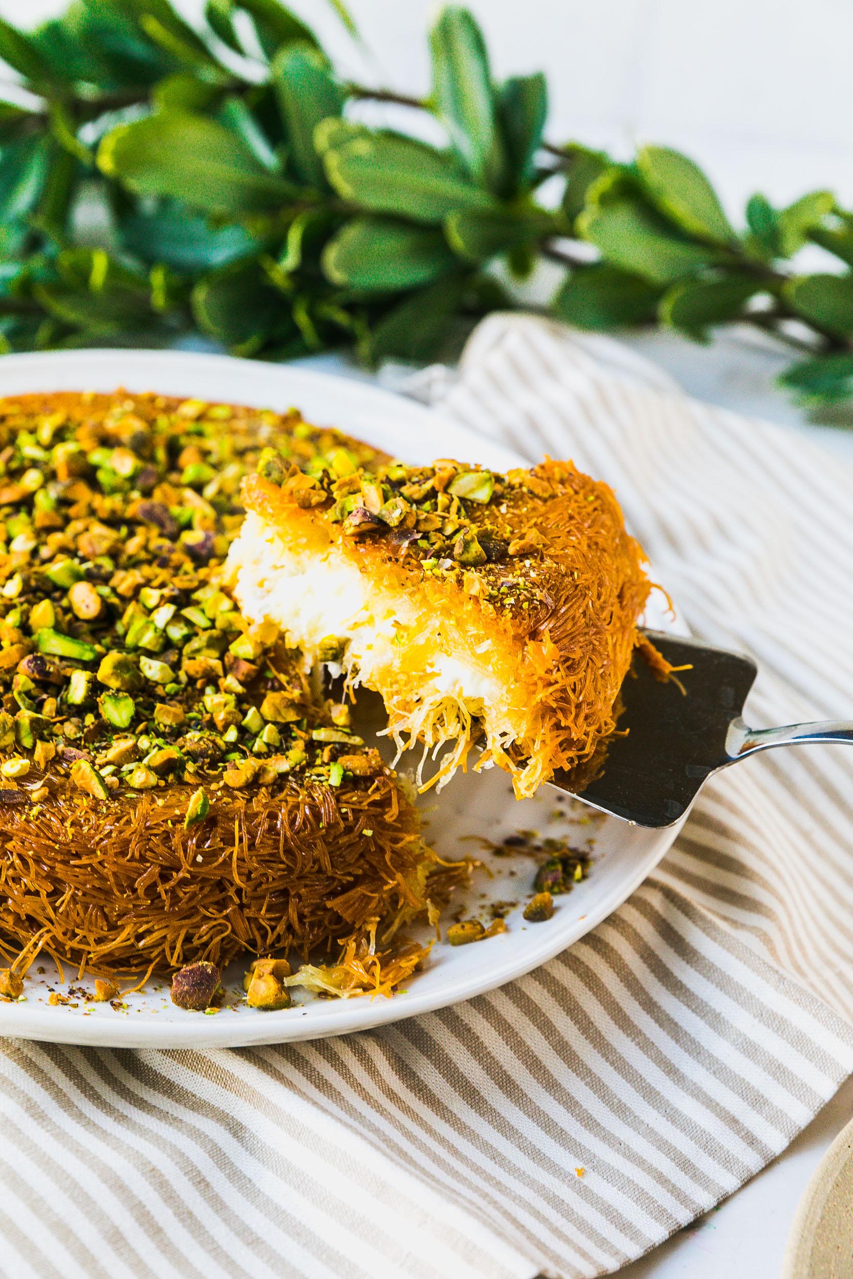 Kanafeh - Never Not Hungry